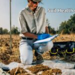 मृदा स्वास्थ्य कार्ड योजना: किसानों के लिए कैसे है गेम-चेंजर? जानें आवेदन प्रक्रिया और फायदे!