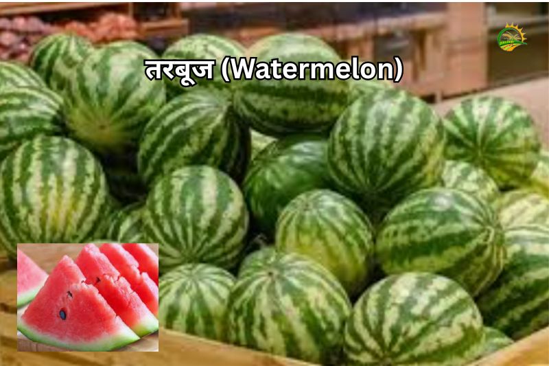 तरबूज (Watermelon)